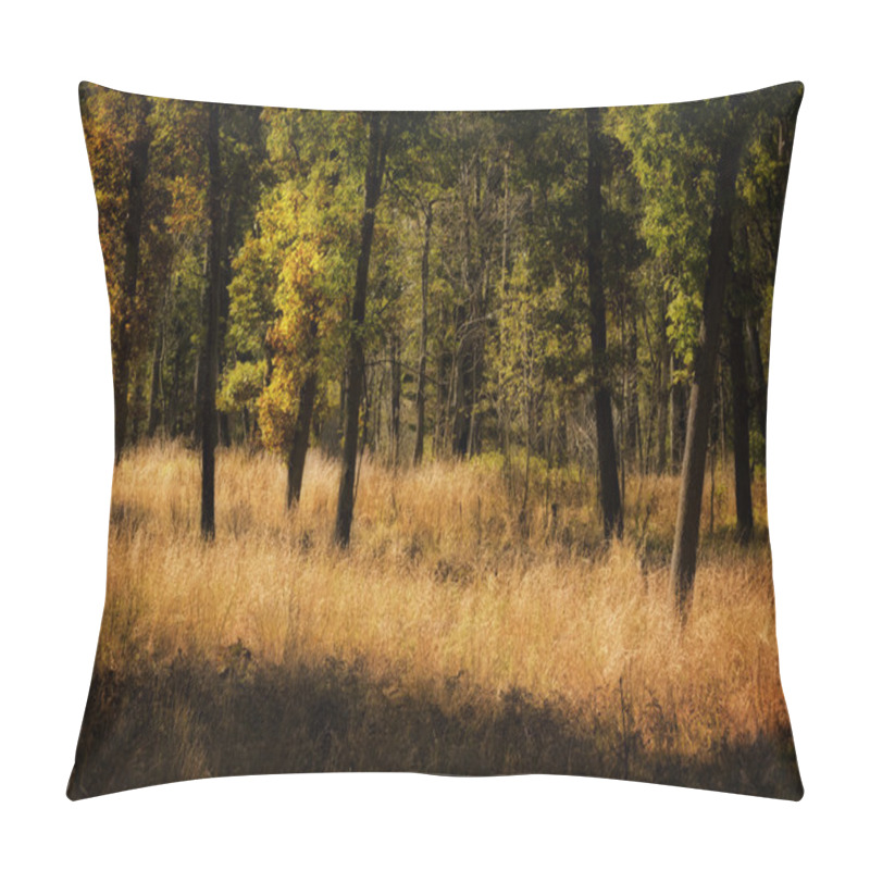 Personality  Fall Forest Background Pillow Covers