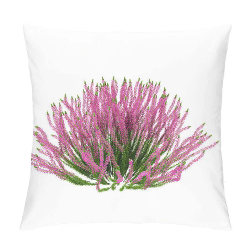 Personality  Decorative Heather Calluna Vulgaris Plant Isolated On White Back Pillow Covers