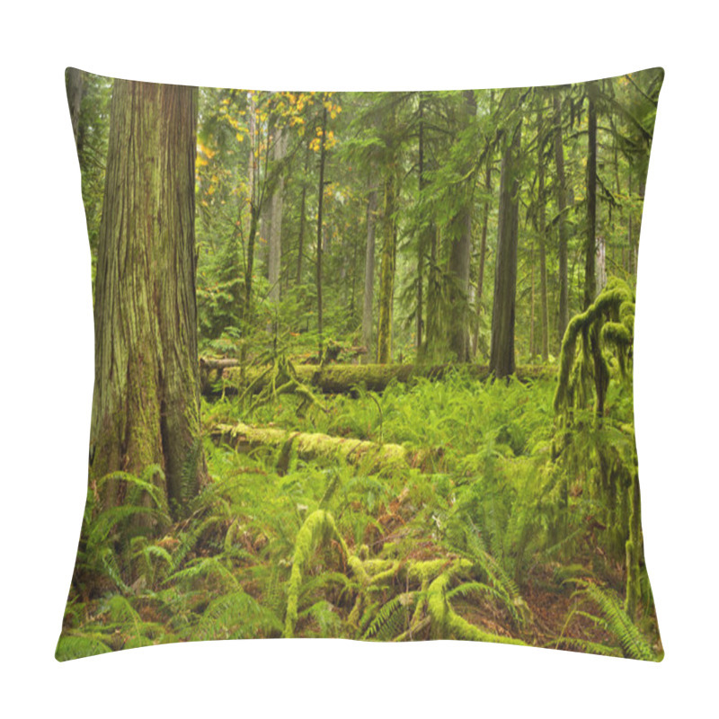 Personality  Lush Rainforest In Cathedral Grove, Vancouver Island, Canada Pillow Covers