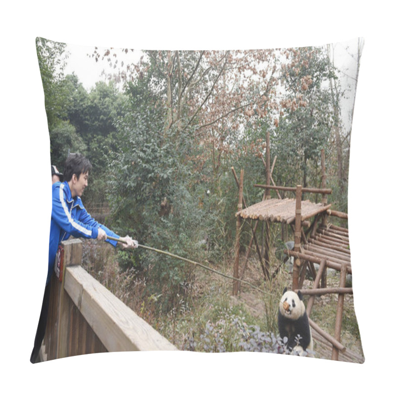 Personality  Kazakh Singer Dimash Kudaibergenov Tries To Feed A Panda In Chengdu City, Southwest China's Sichuan Province, 18 February 2017. Pillow Covers