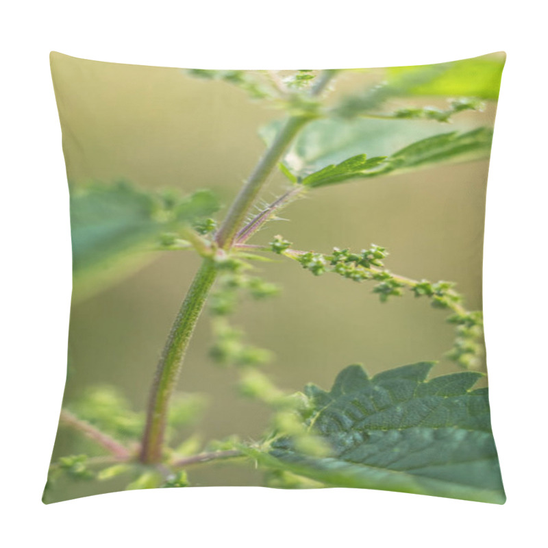 Personality  Macro Photograph Capturing The Details Of A Stinging Nettle Plant In Full Bloom, Showcasing The Beauty And Intricacy Of Its Flowering Stage Up Close Pillow Covers