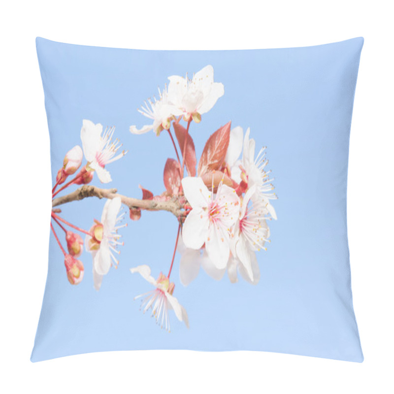 Personality  Pastel Soft Toned Small Branch Of Spring Blooming Cherry Tree Pillow Covers