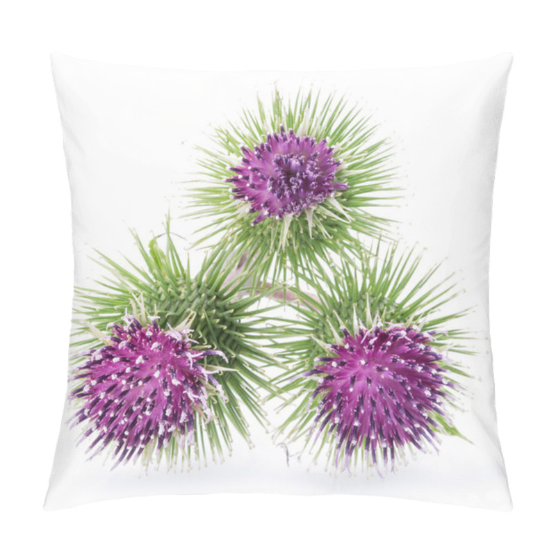 Personality  Prickly Heads Of Burdock Flowers On A White Background. Pillow Covers