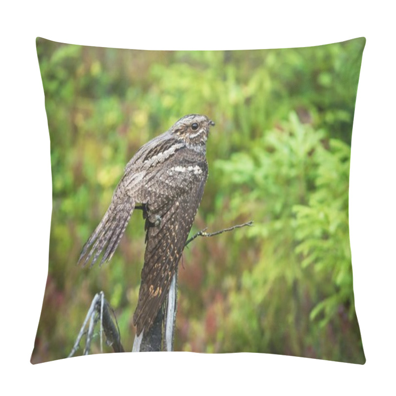 Personality  Female Nightjar Sitting On A Dry Branch Pillow Covers