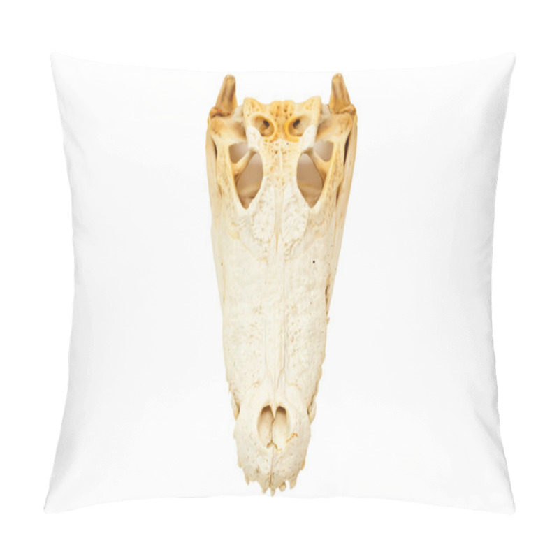 Personality  Freshwater Crocodile Skull Isolated Pillow Covers