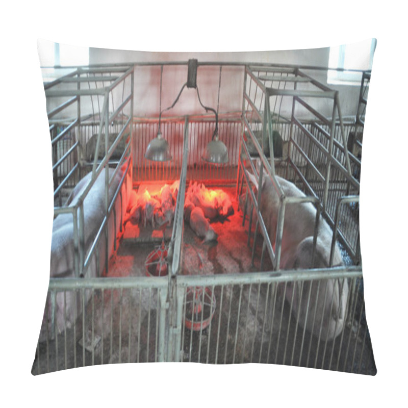 Personality  Piglets And Sows In A Cage With Heating Infrared Lamps Pillow Covers