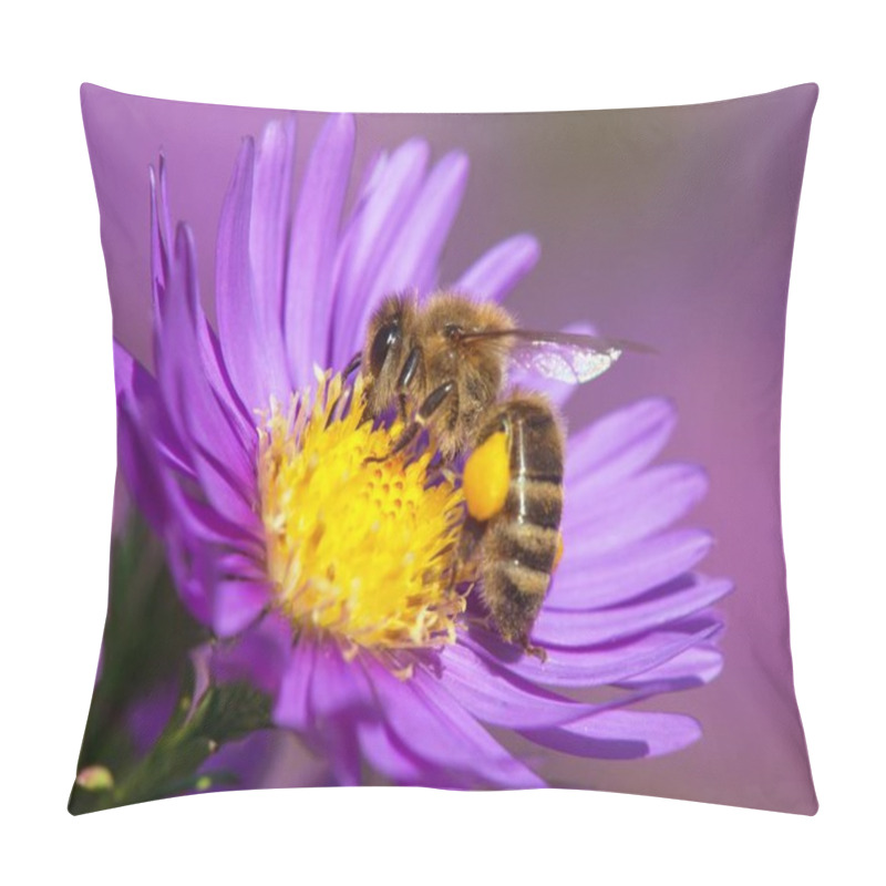 Personality  Detail Of Bee Or Honeybee In Latin Apis Mellifera, European Or Western Honey Bee Sitting On The Yellow Violet Or Blue Flower Pillow Covers