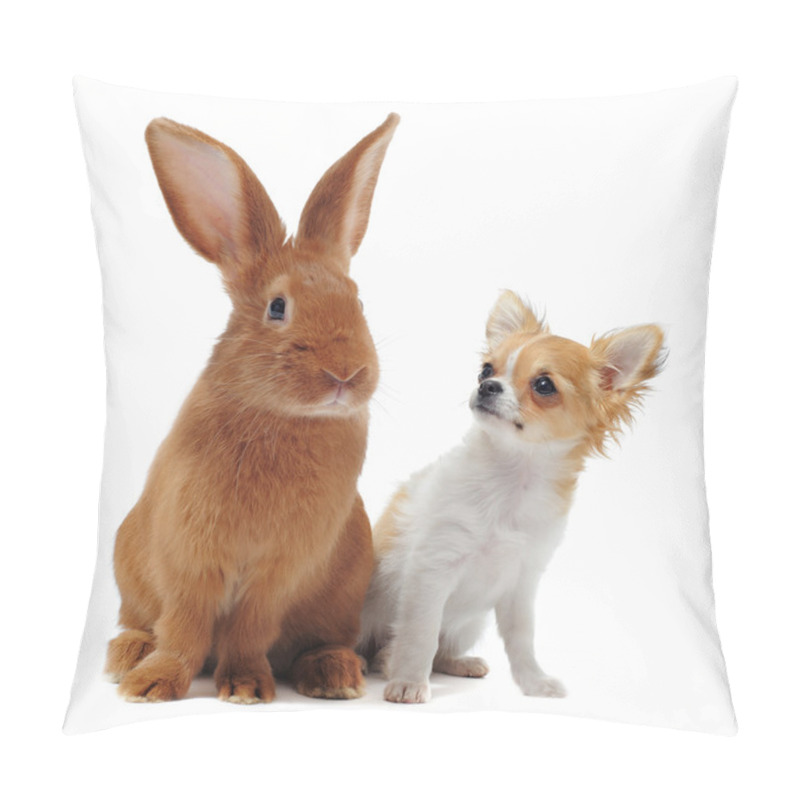 Personality  Chihuahua And Rabbit Pillow Covers