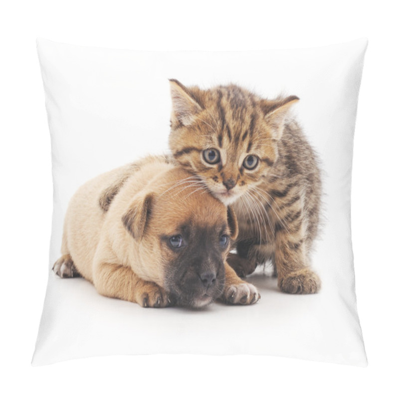 Personality  Puppy And Kitten. Pillow Covers