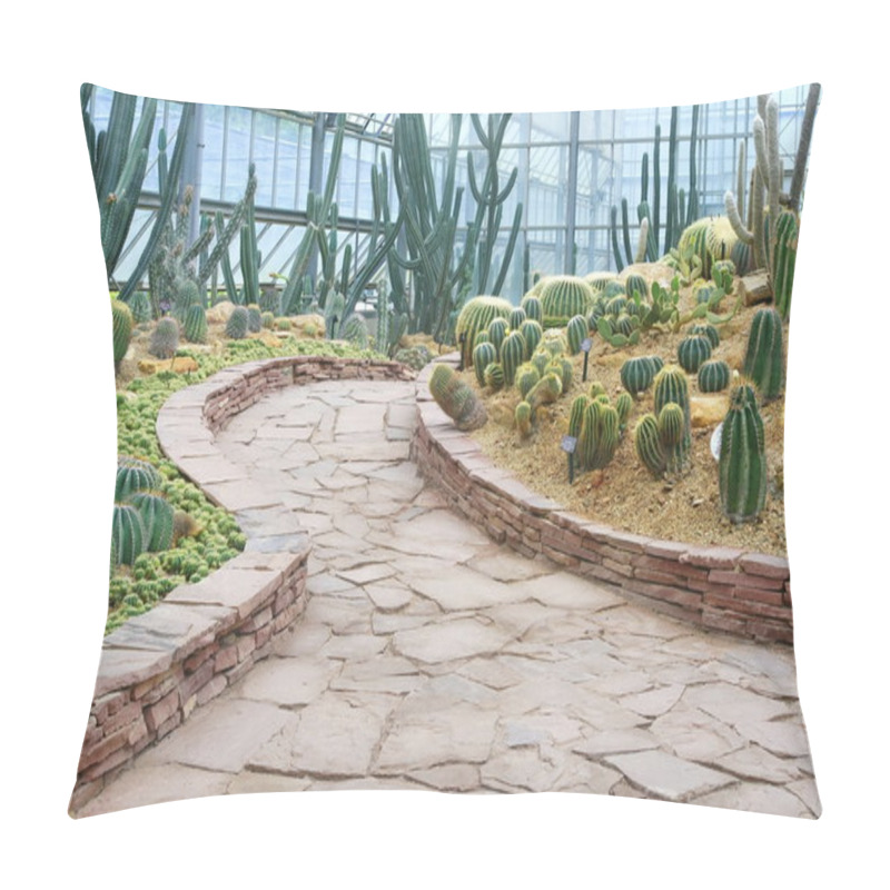 Personality  Walkway And Cactus Garden Pillow Covers