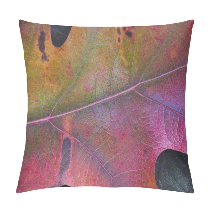 Personality  A Closeup Of An Oak Leaf. Background Pillow Covers