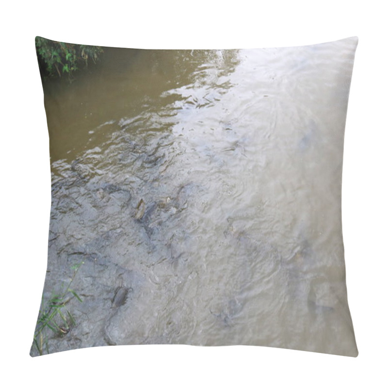 Personality  Catfish Live In Troubled Waters  Pillow Covers