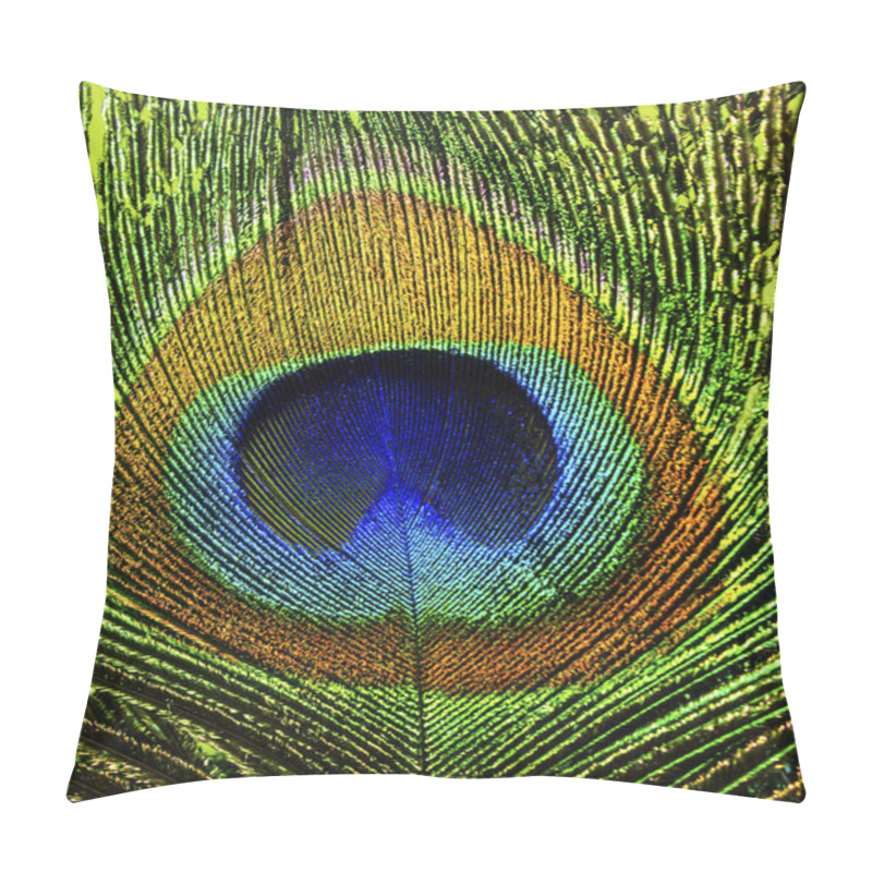 Personality  Peacock Feather Eye In Closeup Pillow Covers