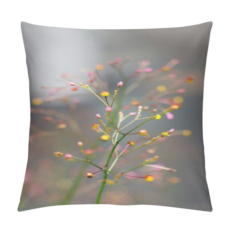 Personality  Delicate Pink And Yellow Flower Buds Against A Soft Blurred Background. Pillow Covers