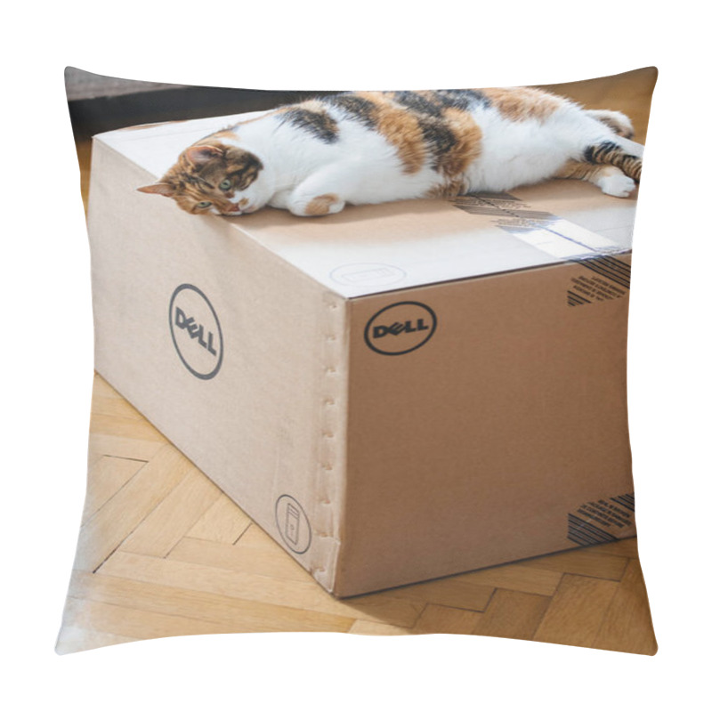 Personality  Cat Sleeping On DELL Computer Box  Pillow Covers