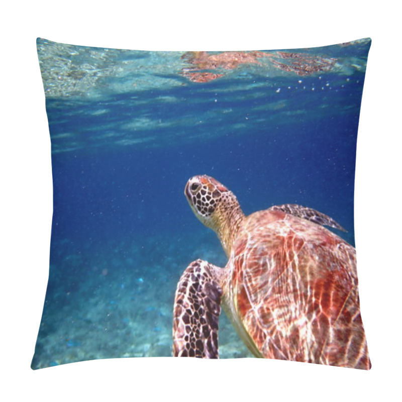 Personality  Snorkeling With A Sea Turtle At Moalboal On Cebu Island Pillow Covers