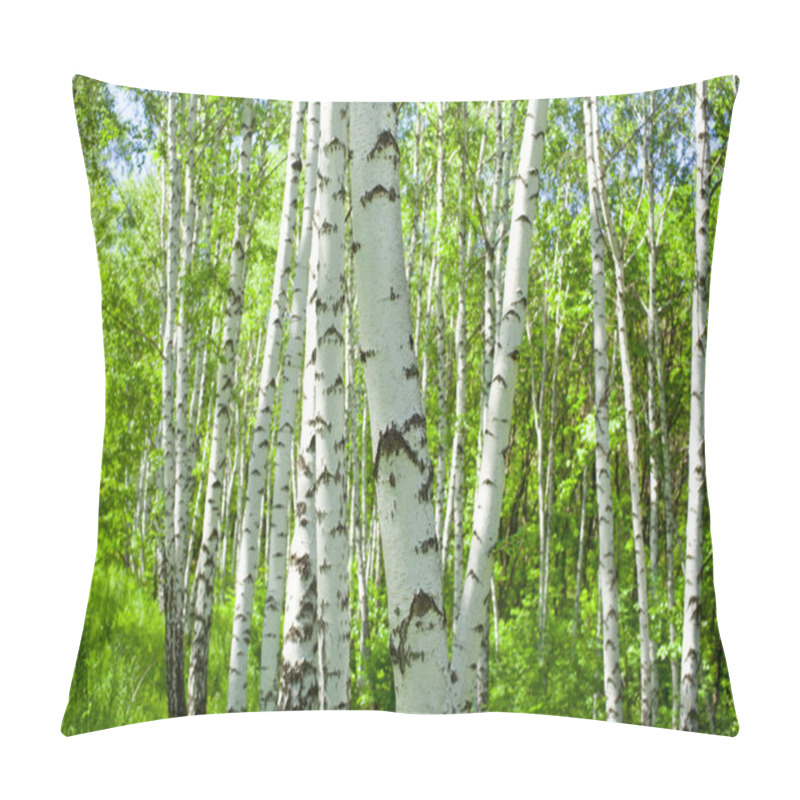 Personality  Birch Trees Pillow Covers