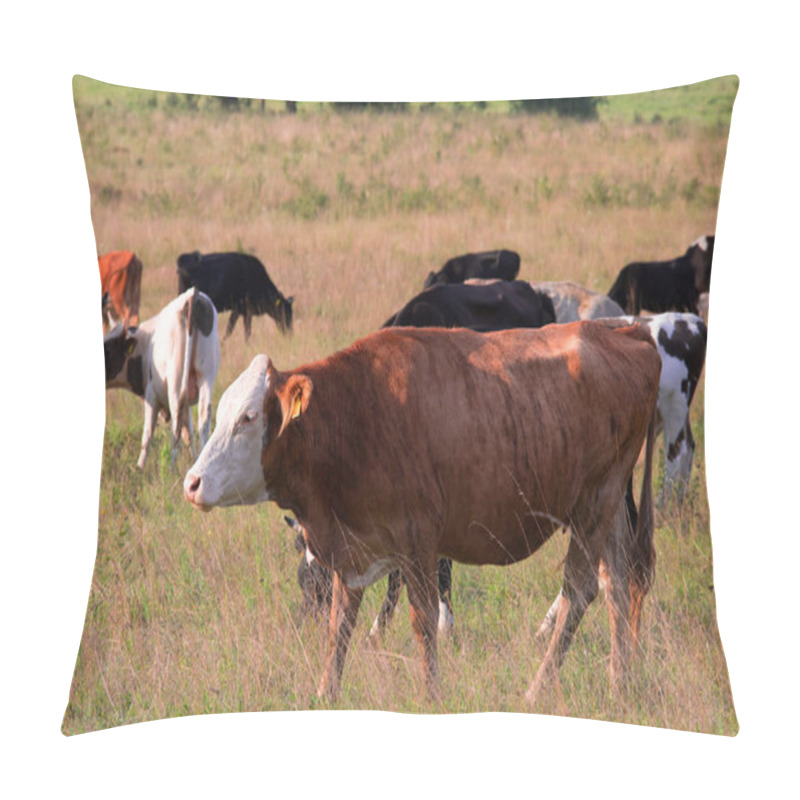 Personality  Mad Cow Disease Pillow Covers