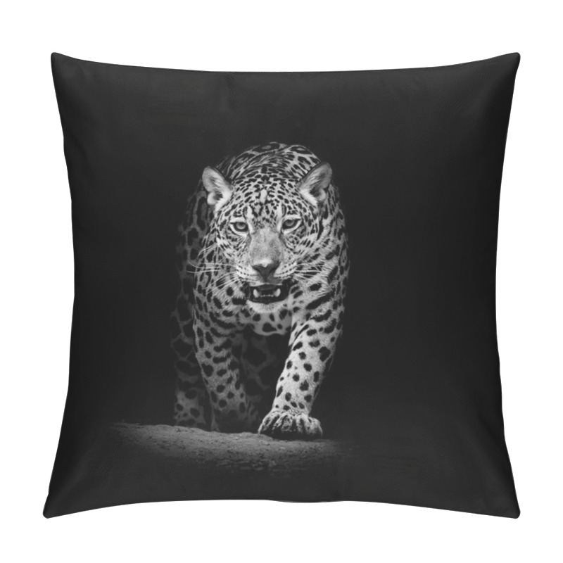 Personality  Leopard Portrait Pillow Covers