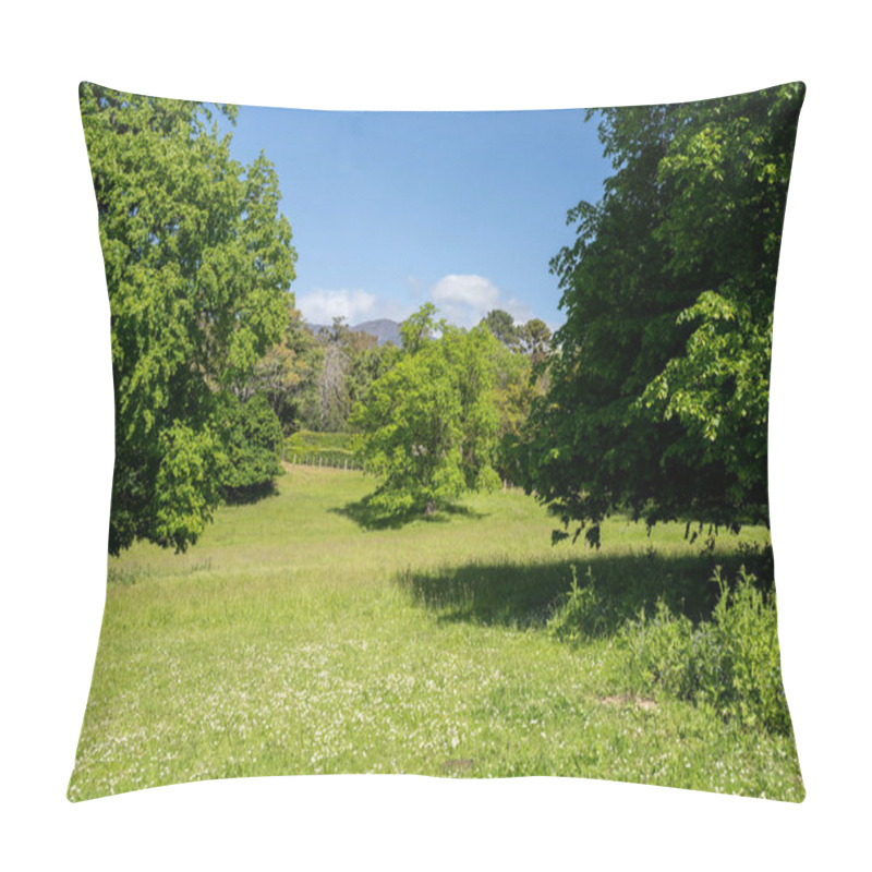 Personality  Trees In A Meadow On A Farm In A Country Estate On A Farm In Spring Pillow Covers