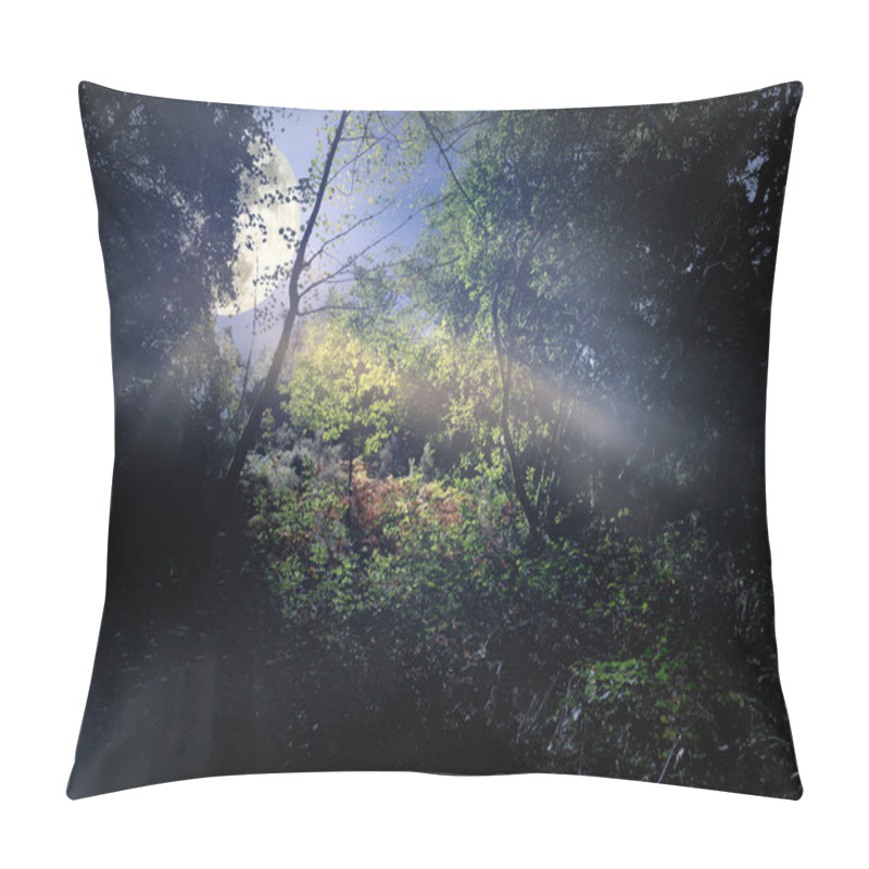 Personality  Arising Moon Pillow Covers