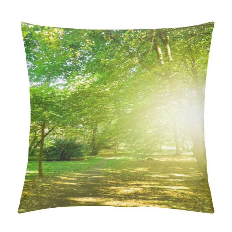 Personality  Beautiful Sunny Spring And Summer Nature, Trees In Park And Outdoor Landscape Scene Pillow Covers