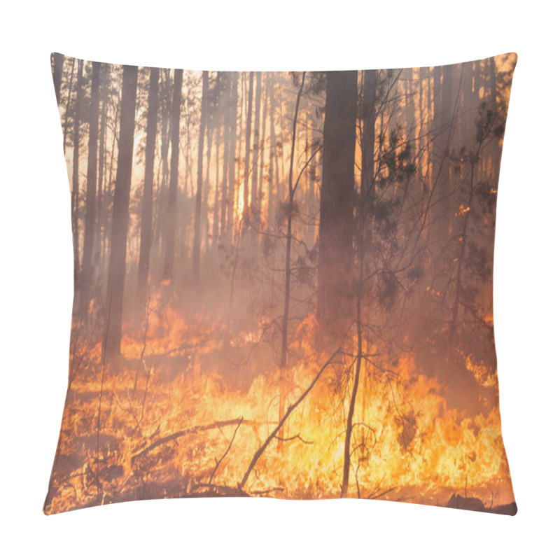 Personality  Development Of Forest Fire On Sunset Background Pillow Covers