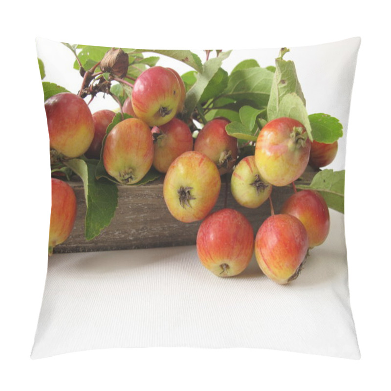 Personality  Autumnal Decoration With Crab Apples Pillow Covers