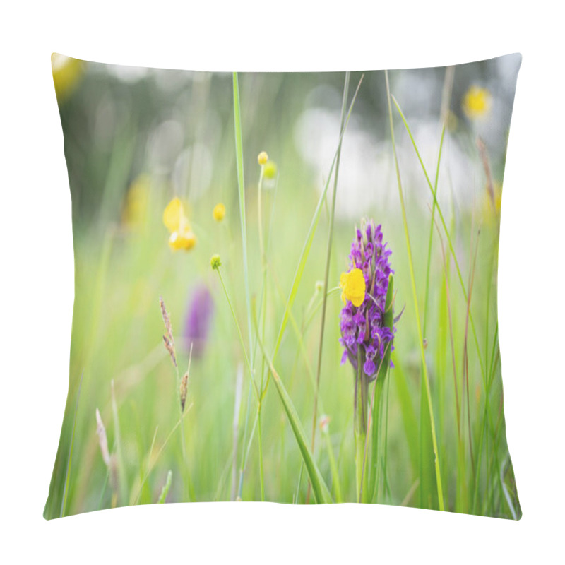 Personality  Blooming Flower In A Natural Environment. Close-up Of Purple Orchid, Dactylorhiza Incarnata.Purple Early Marsh - Orchid Blossom, Dactylorhiza Incarnata.  Pillow Covers