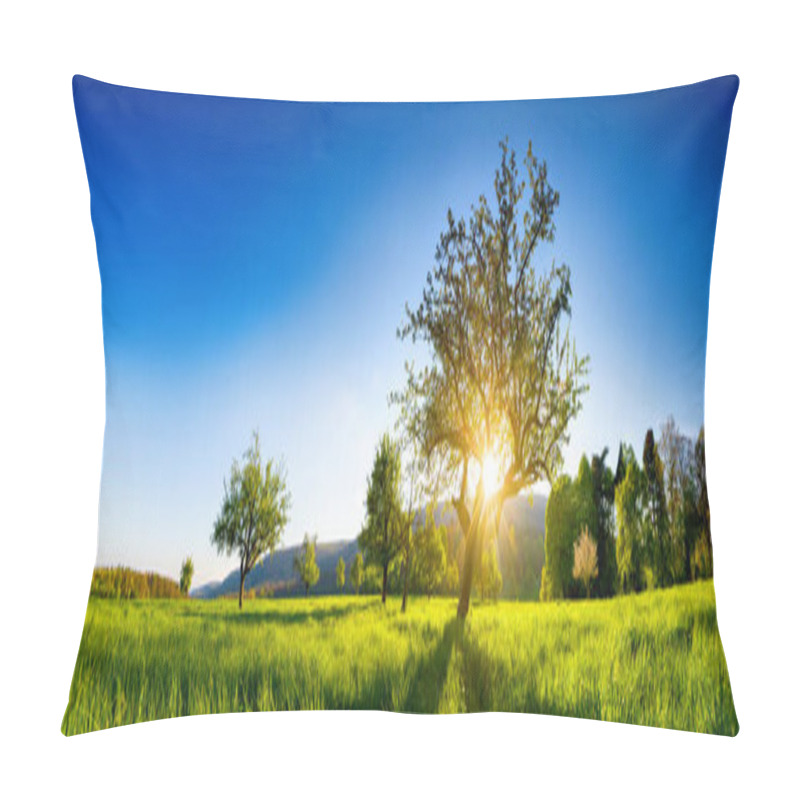 Personality  The Sun Shining Through A Tree On A Green Meadow, A Panoramic Vibrant Rural Landscape With Clear Blue Sky Before Sunset Pillow Covers