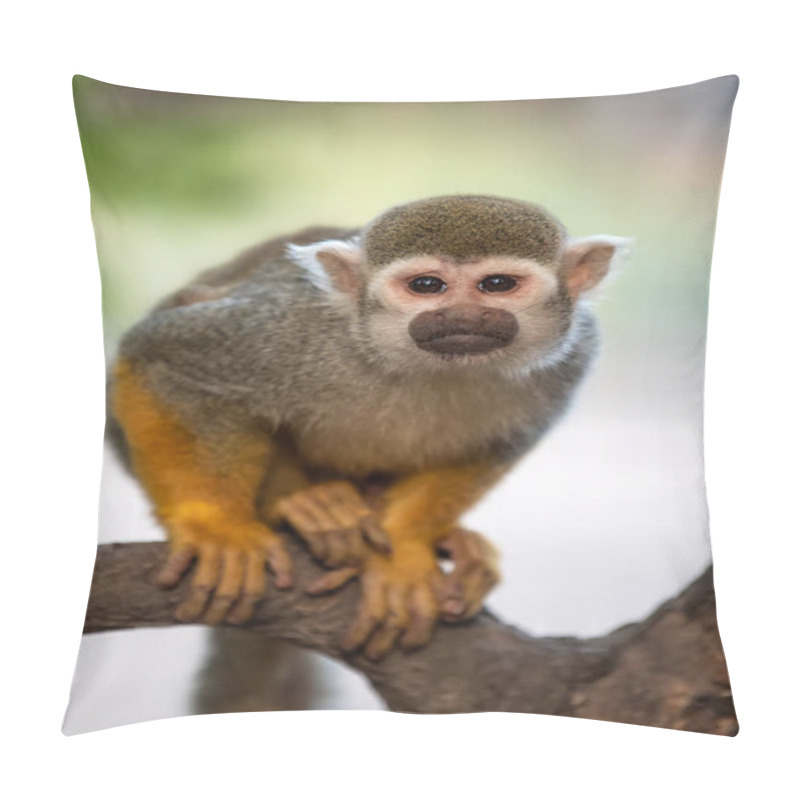 Personality  Close Up Of A Common Squirrel Monkey Pillow Covers