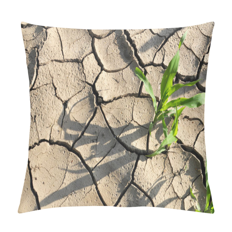 Personality  Cracked Fertile Ground In The Field Due To Heat Pillow Covers