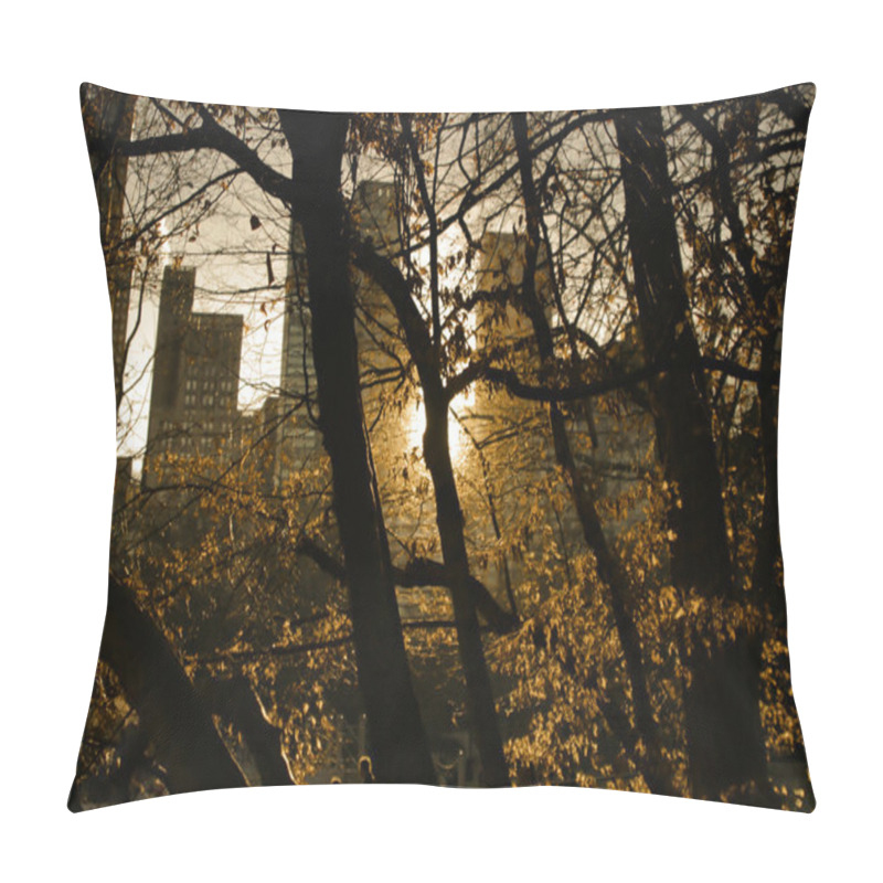 Personality  Sunset In Central Park Pillow Covers