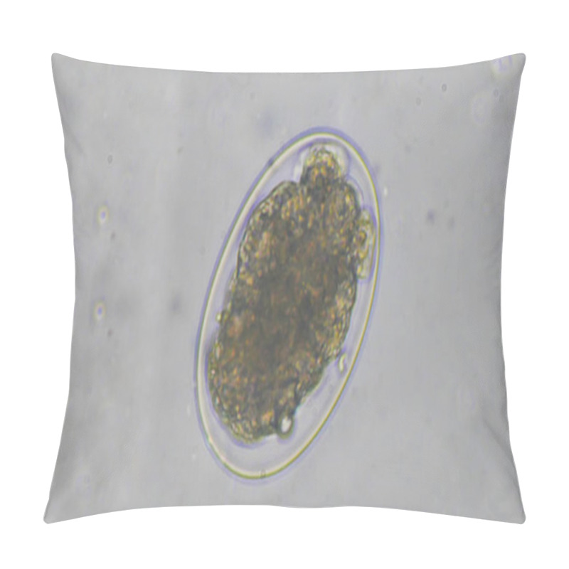 Personality  Macro Hookworm Eggs Parasite In Stool Examination. Pillow Covers