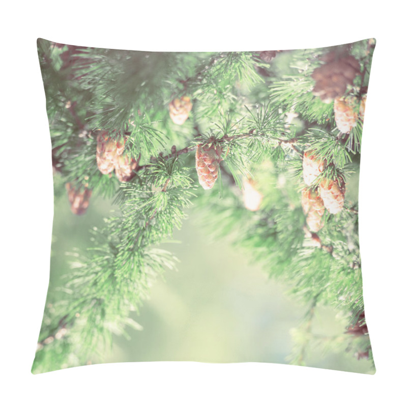 Personality  Young Larch Cone, Larch Tree Pillow Covers