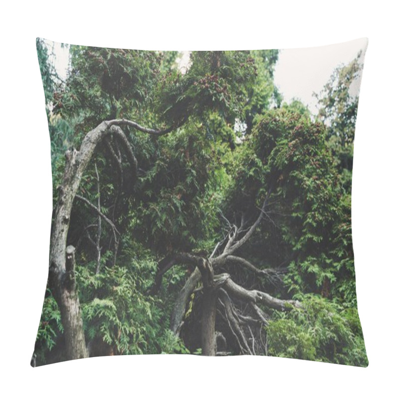 Personality  Trees Pillow Covers