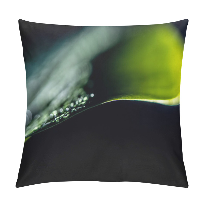 Personality  Macro View Of Green Wet Leaf, Isolated On Black Pillow Covers