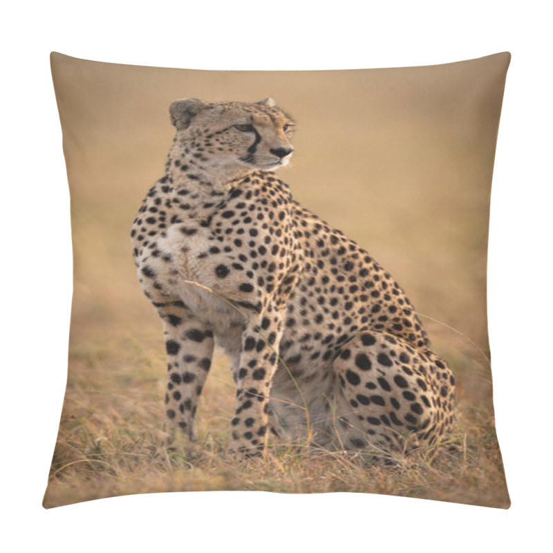 Personality  Cheetah Sitting In Grassy Plain Turning Right Pillow Covers