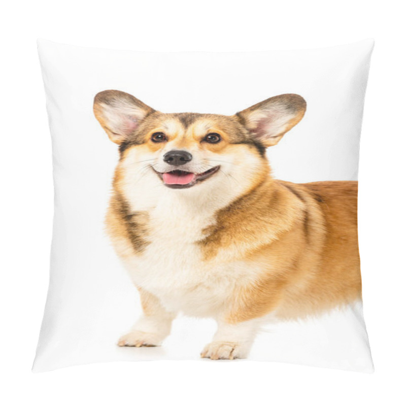 Personality  Welsh Corgi Pembroke Standing Isolated On White Background  Pillow Covers