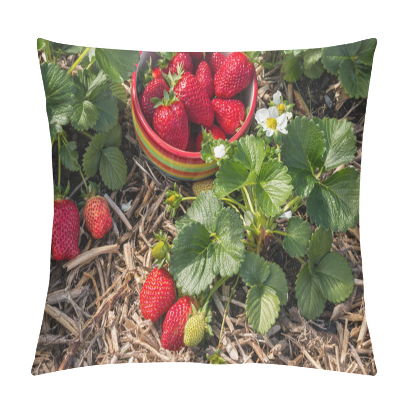 Personality  Strawberry Picking - Bowl Of Ripe Red Strawberries With Strawberry Plant  Pillow Covers