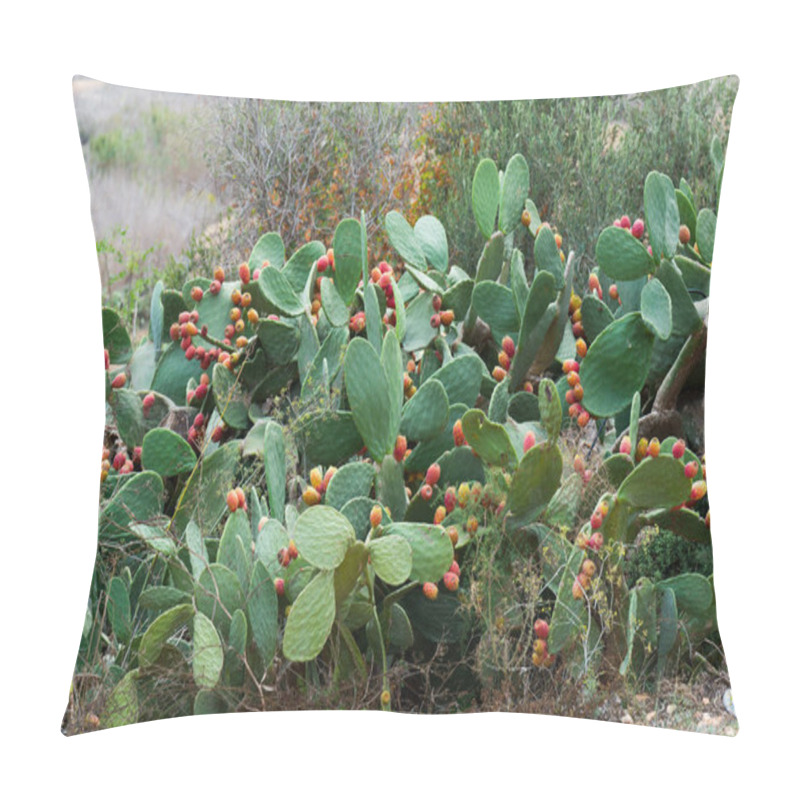 Personality  Prickly Pear Cactus With Red Flowers In Gozo, Malta Pillow Covers