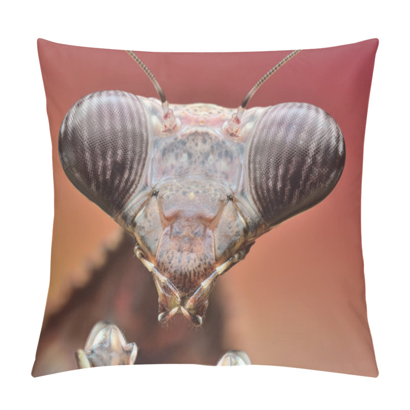 Personality  Mantis Pseudempusa Pinnapavonis Macro Pillow Covers