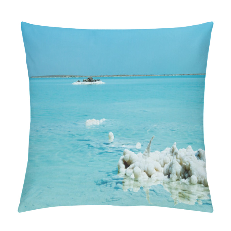 Personality  Beautiful Coast Of The Dead Sea .  Pillow Covers