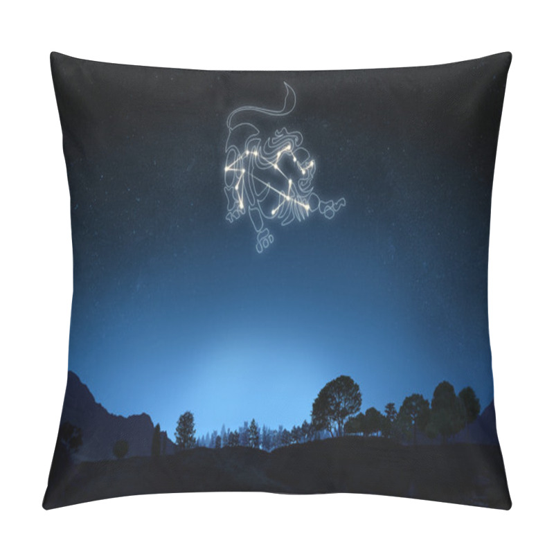 Personality  Zodiac Sign Leo Pillow Covers