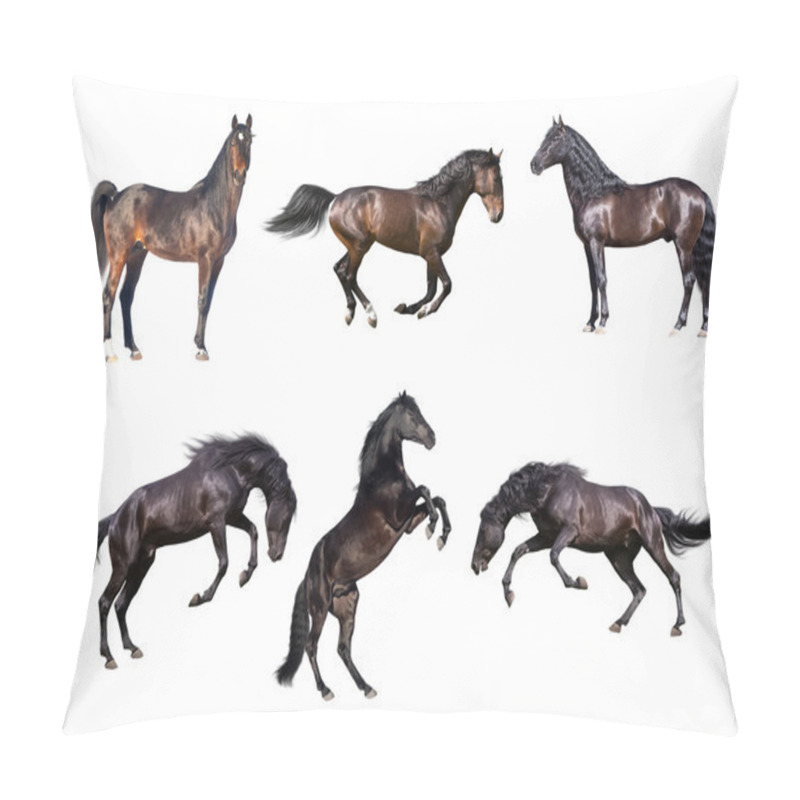 Personality  Horses Collection Isolated On The White Background Pillow Covers