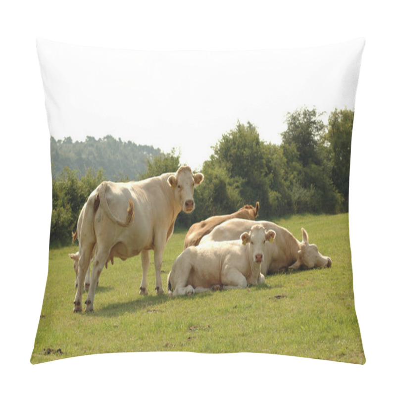 Personality  Rest. Pillow Covers