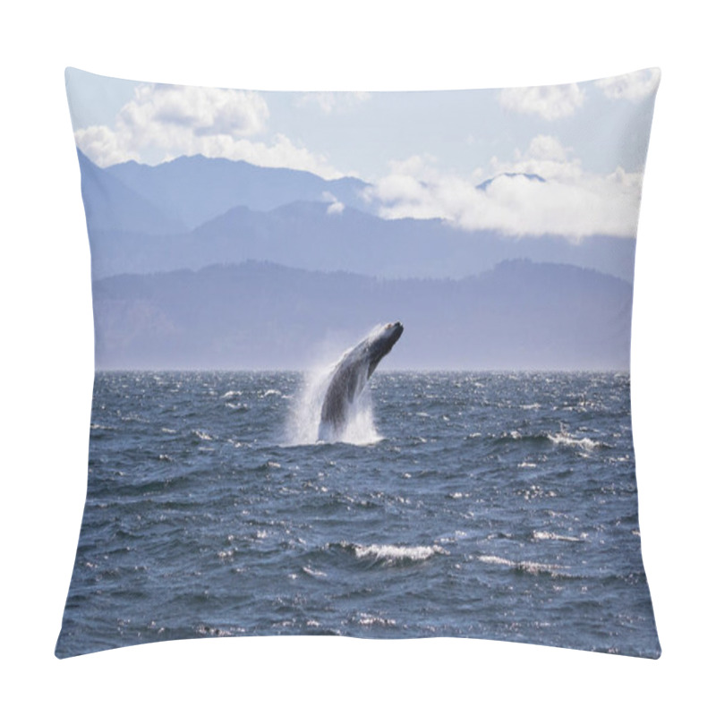 Personality  Humpback Whale Breaching Off The Coast Of Victoria British Columbia Pillow Covers