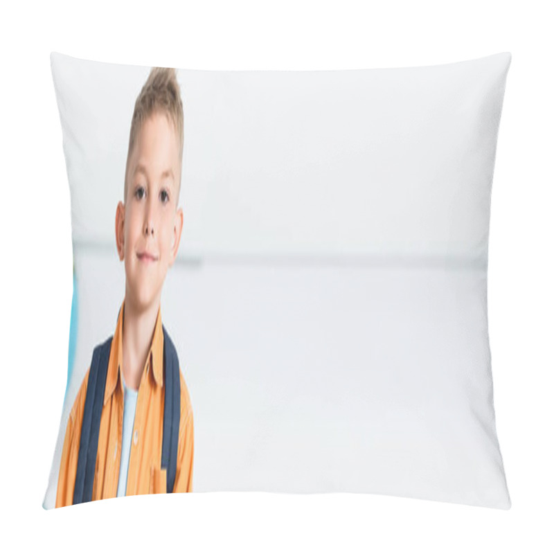 Personality  Horizontal Image Of Schoolboy Looking At Camera In Classroom  Pillow Covers