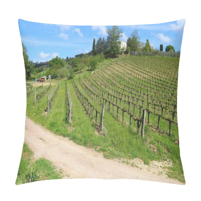 Personality  Tuscany Vineyard, Italy Pillow Covers