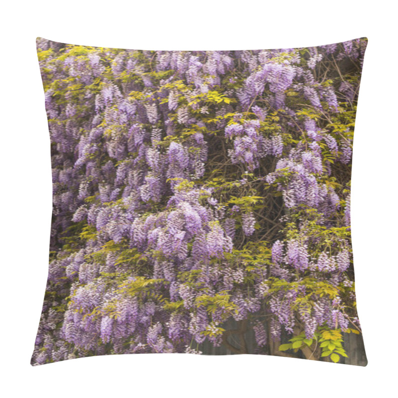 Personality  Spring Concept. Beautiful Blooming Purple Wisteria Flowers Background. Vertical Composition. Pillow Covers